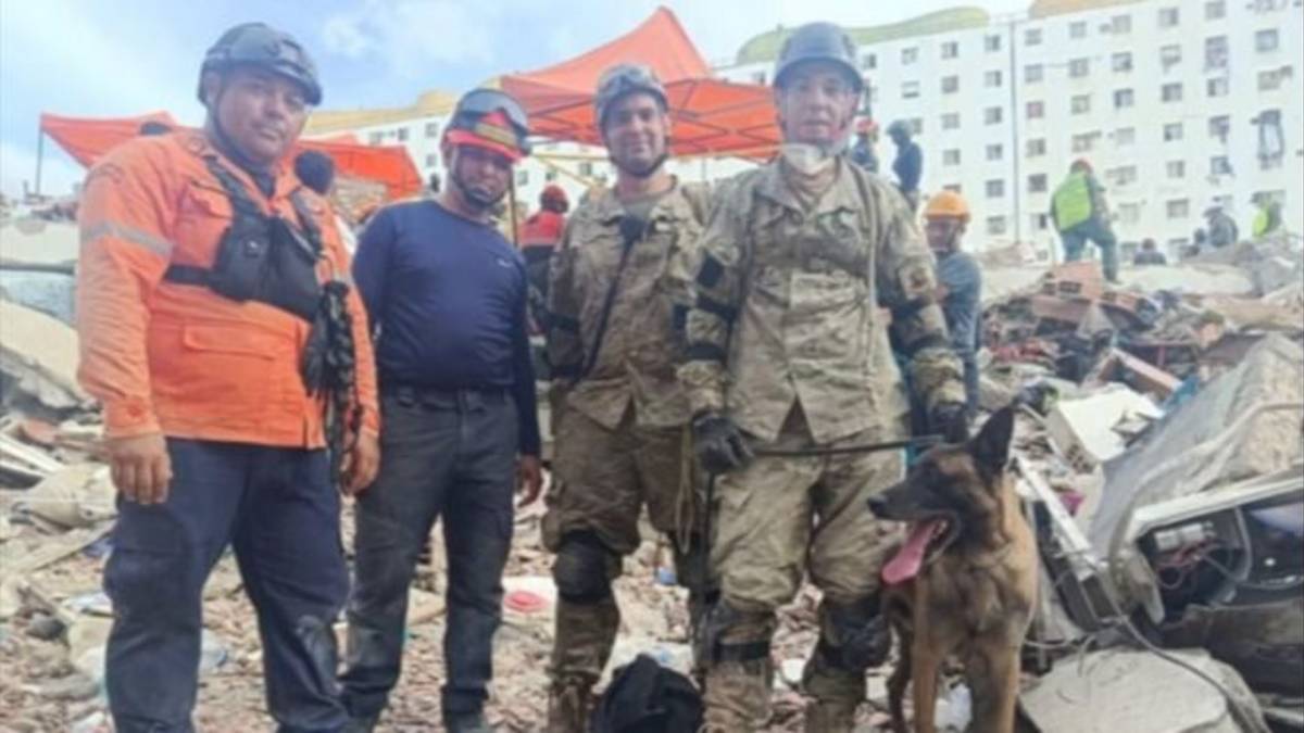 Quién es Bart, el perro argentino que salvó a dos niños atrapados entre escombros en Venezuela