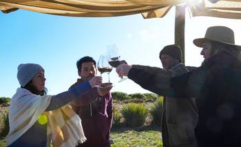 Escapada clave en Buenos Aires: cómo es la Ruta del Vino y el Olivo para hacer en julio | Escapadas