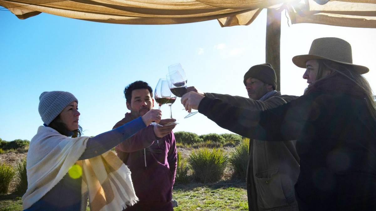 Escapada clave en Buenos Aires: cómo es la Ruta del Vino y el Olivo para hacer durante las vacaciones de invierno