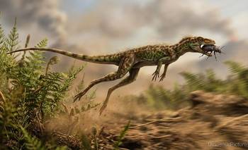 Este reptil vivió hace 230 millones de años cuando Argentina quedaba en Pangea | Naturaleza