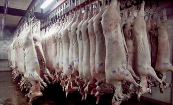 La importación de cerdo fue récord en lo que va de este siglo | El consumo en la crisis