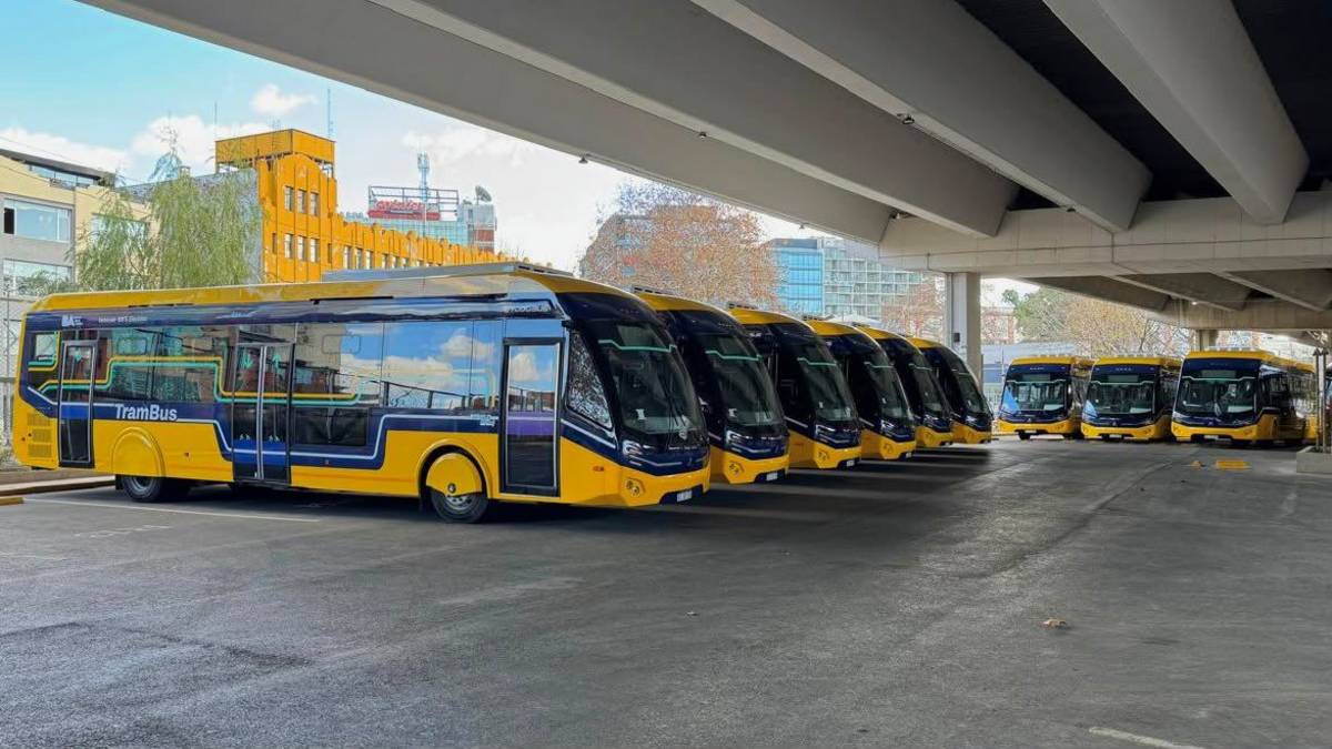 La Ciudad anticipó cuándo empezará a funcionar el nuevo TramBus: recorrido y paradores