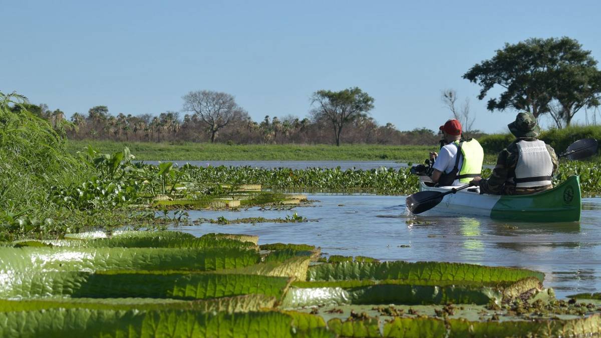 El pulmón verde oculto del litoral argentino que tenes que recorrer al menos una vez en la vida
