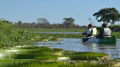 El pulmón verde oculto del litoral argentino que tenes que recorrer al menos una vez en la vida El pulmón verde oculto del litoral argentino que tenes que recorrer al menos una vez en la vida