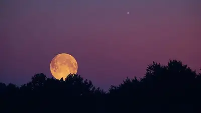 Así impactará la Luna en Piscis del 5 de julio: cómo afectará a las emociones Así impactará la Luna en Piscis del 5 de julio: cómo afectará a las emociones