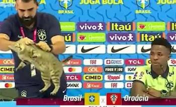 Brasil quedó eliminado y los memes seacordaron de la maldición del gato | Mundial 2026