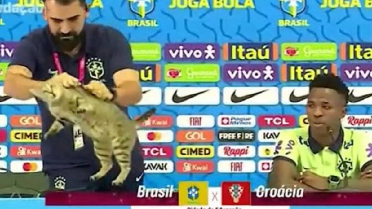 Memes: Brasil quedó eliminado y, una vez más, las redes se acordaron de la maldición del gato