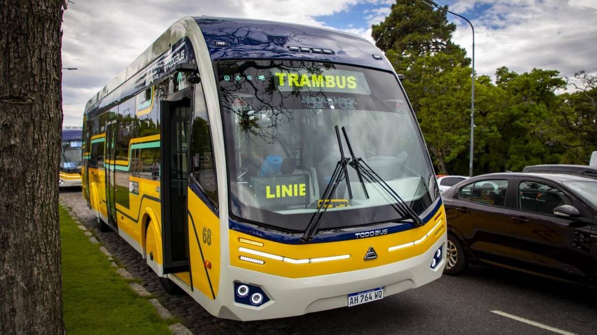 Confirman cuándo cambiará el sentido de una avenida por las obras del Trambus