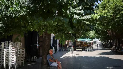 Europa podría enfrentarse a "semanas aún más mortíferas" por ola de calor, advierte la OMS Europa podría enfrentarse a "semanas aún más mortíferas" por ola de calor, advierte la OMS