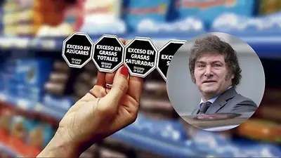 El Gobierno de Formosa pidió frenar el proyecto que busca derogar la ley de etiquetado frontal: todos los detalles El Gobierno de Formosa pidió frenar el proyecto que busca derogar la ley de etiquetado frontal: todos los detalles