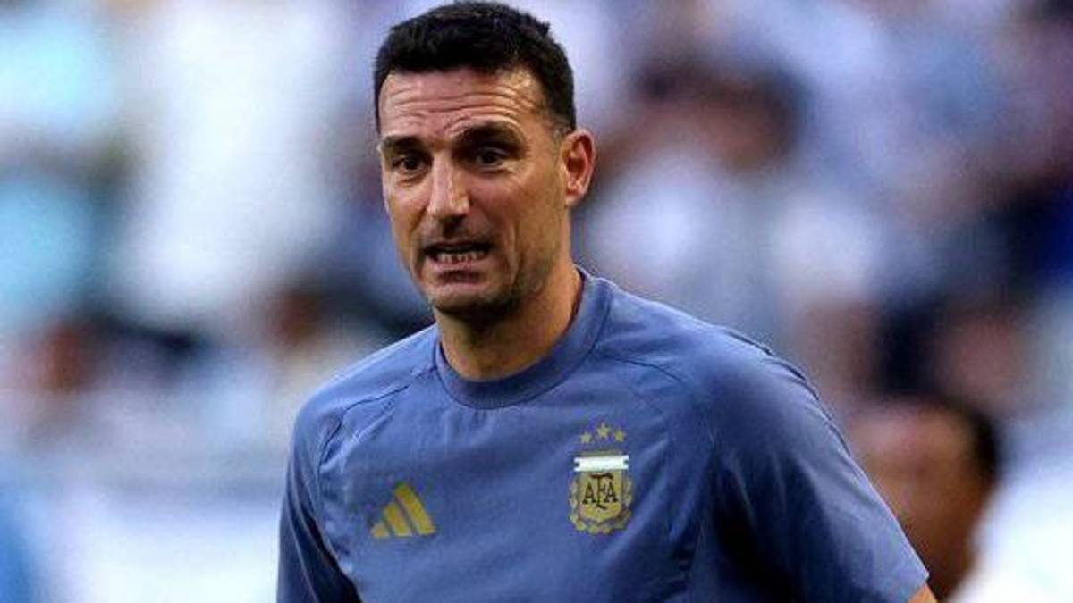 No se vio en TV: el gesto enloquecido de Lionel Scaloni después del gol de Enzo Fernández