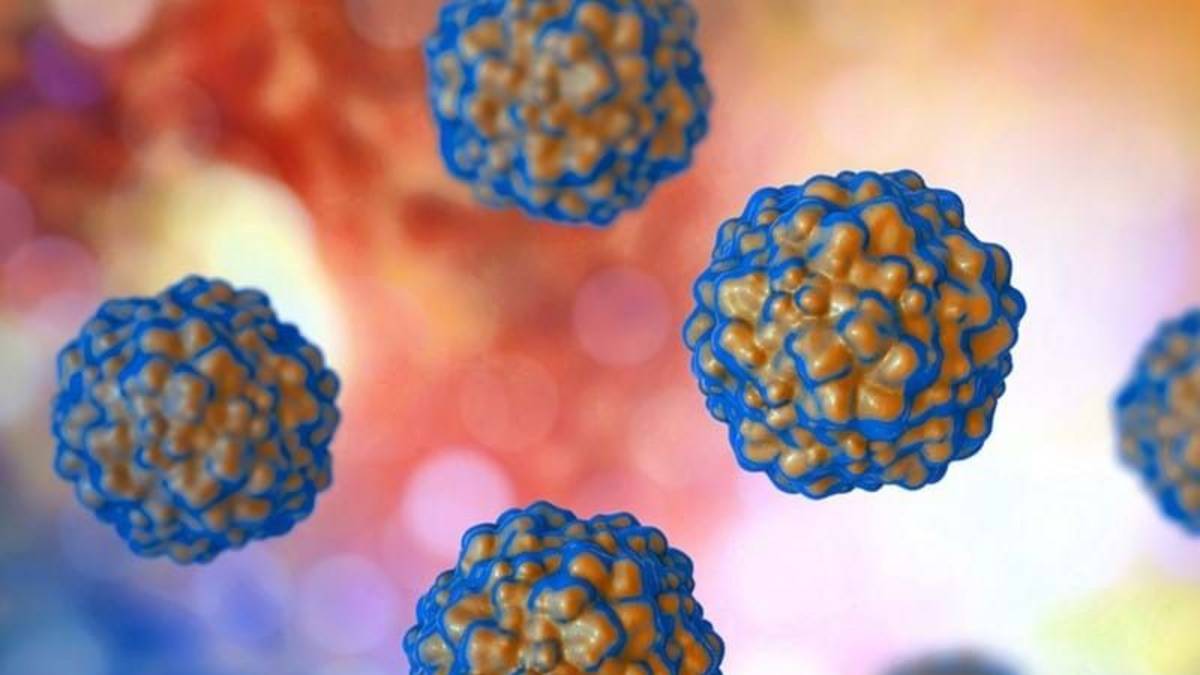 Un virus inofensivo podría predecir el rechazo de trasplante renal