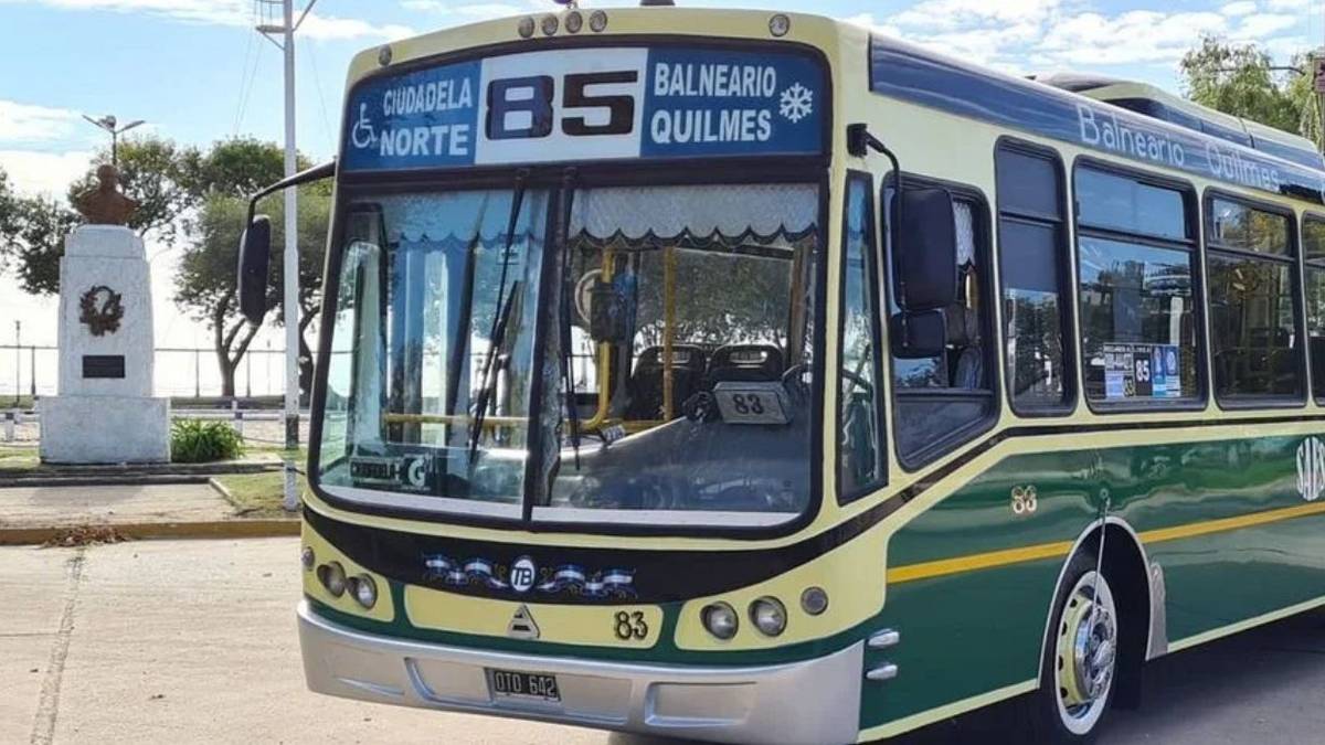 Viajes más inclusivos: la novedad que instaló una histórica línea de colectivos del AMBA