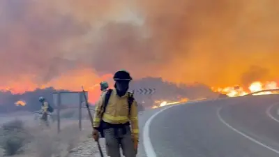 Incendios en Almería: qué se sabe y por qué se inició el fuego Incendios en Almería: qué se sabe y por qué se inició el fuego