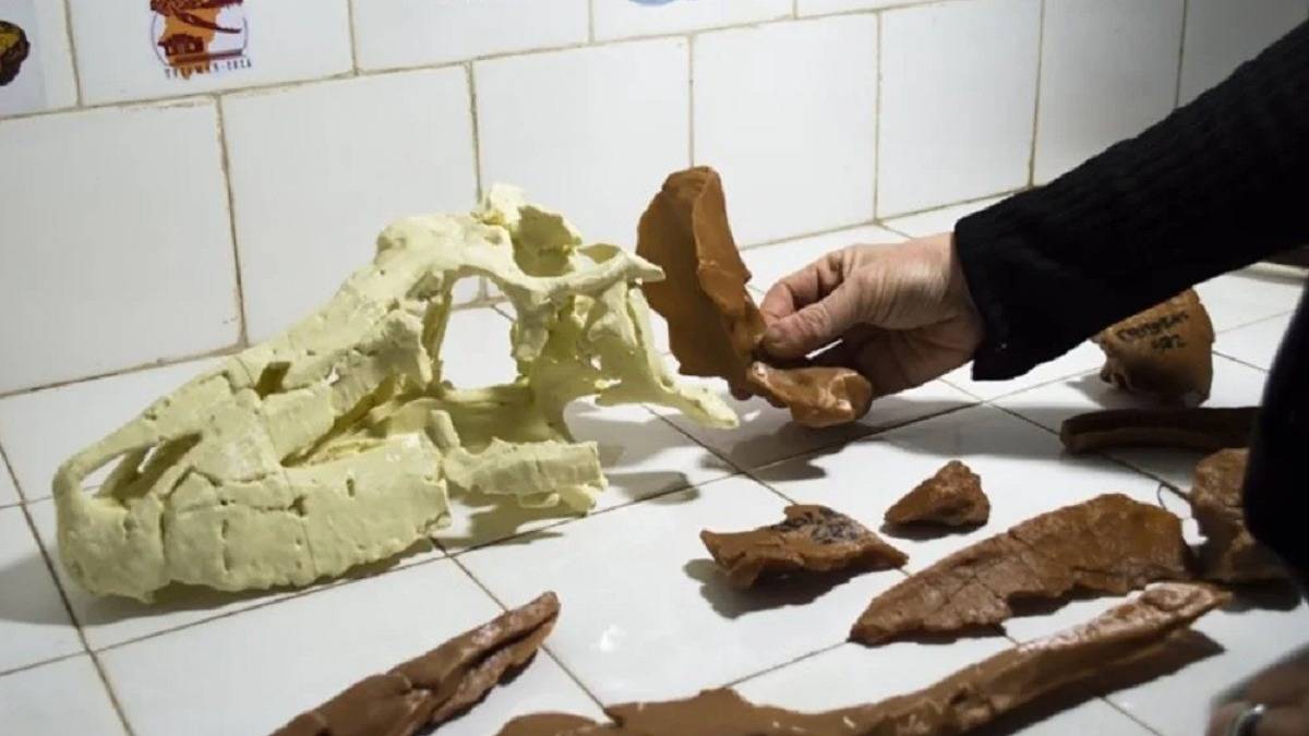 Hallaron una nueva especie de reptil fósil de 240 millones de años