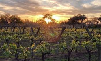 A 45 minutos de Buenos Aires: la escapada ideal del invierno | Escapadas