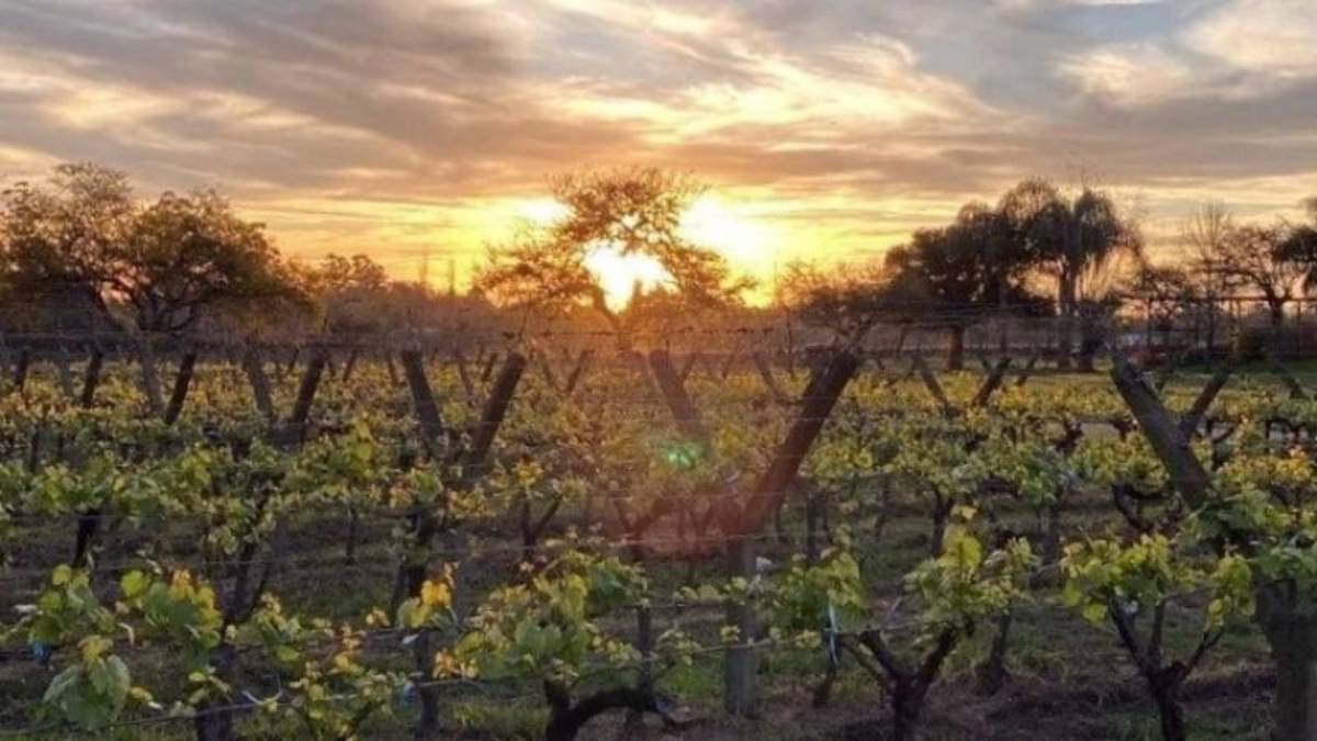 A solo 45 minutos de Buenos Aires: el destino con termas, viñedos y un castillo que enamora en las vacaciones de invierno
