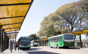 Cambian el recorrido de una de las líneas de colectivos que une la Ciudad con zona sur | Transporte público