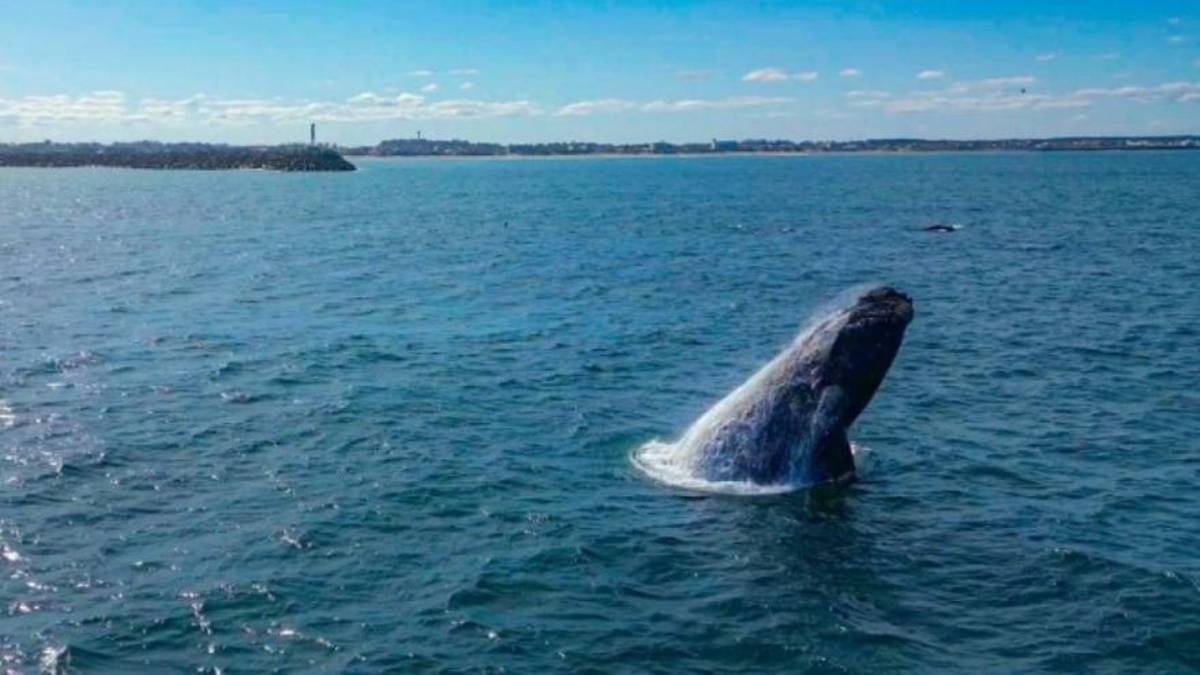 La Provincia de Buenos Aires lanzó la temporada de invierno con fiestas, termas y beneficios para turistas