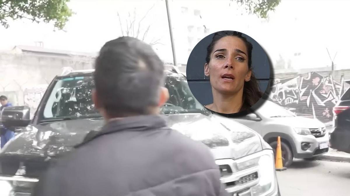 Momento de terror: Juana Viale casi atropella a un periodista que le preguntaba por su separación