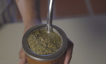 Cuál es la yerba que promete durar tres termos sin lavarse | Gastronomía