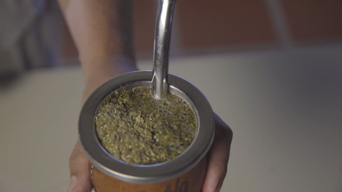 La elegida por la Selección Argentina: cuál es la yerba que promete durar tres termos sin lavarse