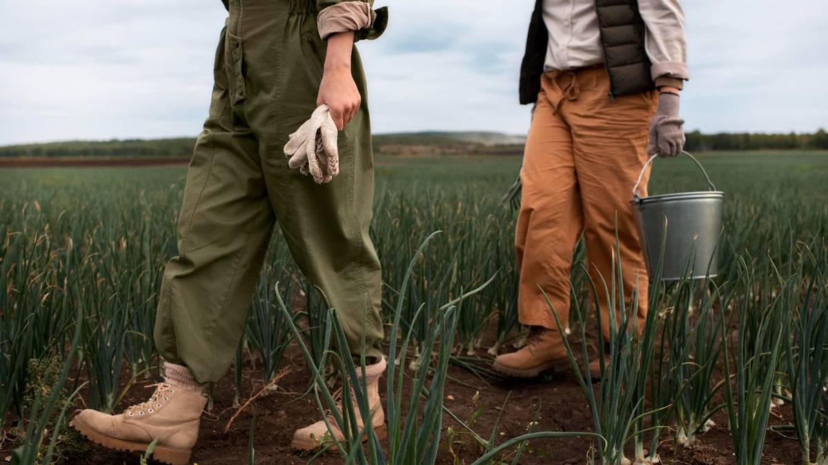 Cuánto cobran trabajadores rurales tras el aumento en julio 2026: el salario que ganan