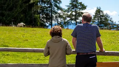 Proverbio irlandés sobre la sabiduría: “El anciano para aconsejar y el joven para actuar” Proverbio irlandés sobre la sabiduría: “El anciano para aconsejar y el joven para actuar”