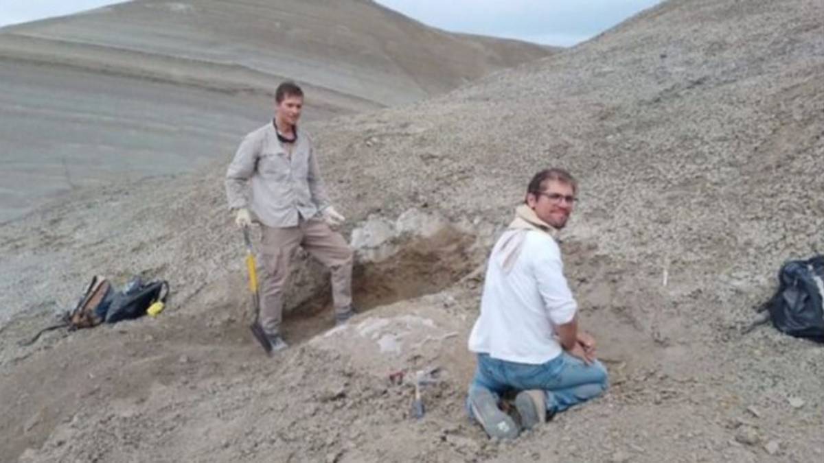 Orgullo nacional: científicos del CONICET logran un hallazgo inédito sobre el "monstruo marino" que habitó Chubut