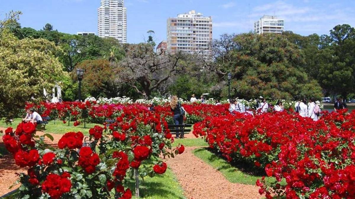 Último día para conseguir rosas gratis: regalarán esquejes este viernes 17 en el Rosedal de Palermo