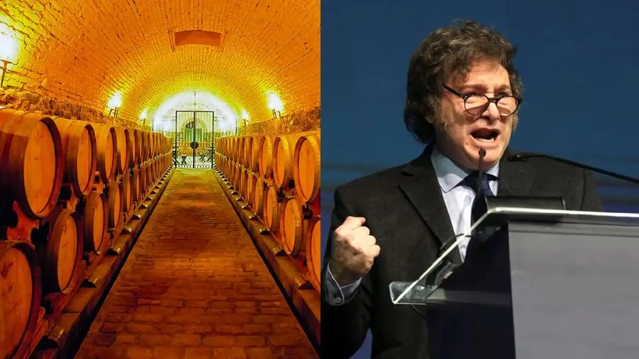 Bodega y Javier Milei