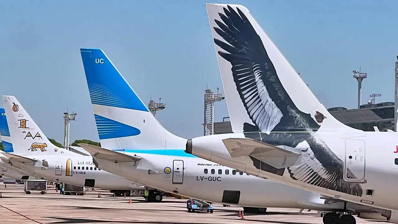 Sorpresa por la aerolínea low cost que tendrá internet de Starlink en sus vuelos