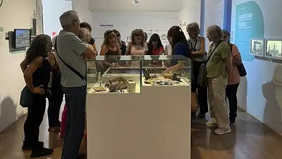 museo de arte moderno. museo de arte moderno.