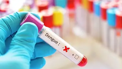 Logro de gestión: La Rioja no registró casos de dengue ni chikungunya Logro de gestión: La Rioja no registró casos de dengue ni chikungunya