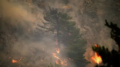 España y Francia luchan contra los incendios mientras la ola de calor azota el sur de Europa España y Francia luchan contra los incendios mientras la ola de calor azota el sur de Europa