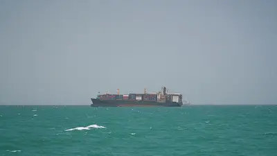 Cada vez más barcos cambian de rumbo en el mar Rojo tras amenazas de los hutíes, muestran datos Cada vez más barcos cambian de rumbo en el mar Rojo tras amenazas de los hutíes, muestran datos