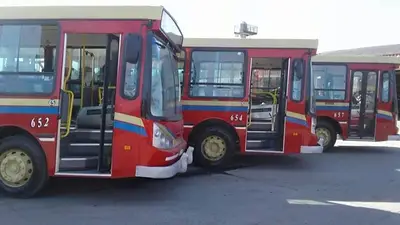 Colectivos Colectivos
