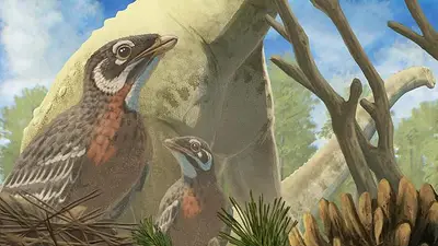 Un fósil de la era de los dinosaurios arroja luz sobre la evolución de las serpientes Un fósil de la era de los dinosaurios arroja luz sobre la evolución de las serpientes