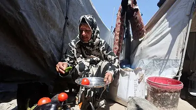 Dos tercios de la población de Gaza podrían sufrir hambre aguda a fin de año: Observatorio Dos tercios de la población de Gaza podrían sufrir hambre aguda a fin de año: Observatorio