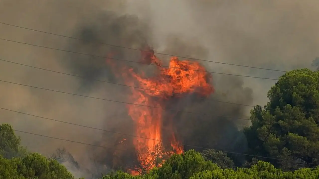 Incendios forestales amenazan Burdeos; Francia y España luchan contra las llamas