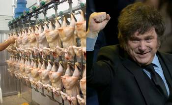La principal productora de carne avícola del país frenó su producción | Crisis económica