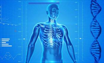 Crearon un nuevo atlas del cuerpo humano que revela cómo se organiza el ADN | Ciencia 