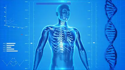 Crearon un nuevo atlas del cuerpo humano que revela cómo se organiza el ADN: permite interpretar mejor los genes Crearon un nuevo atlas del cuerpo humano que revela cómo se organiza el ADN: permite interpretar mejor los genes