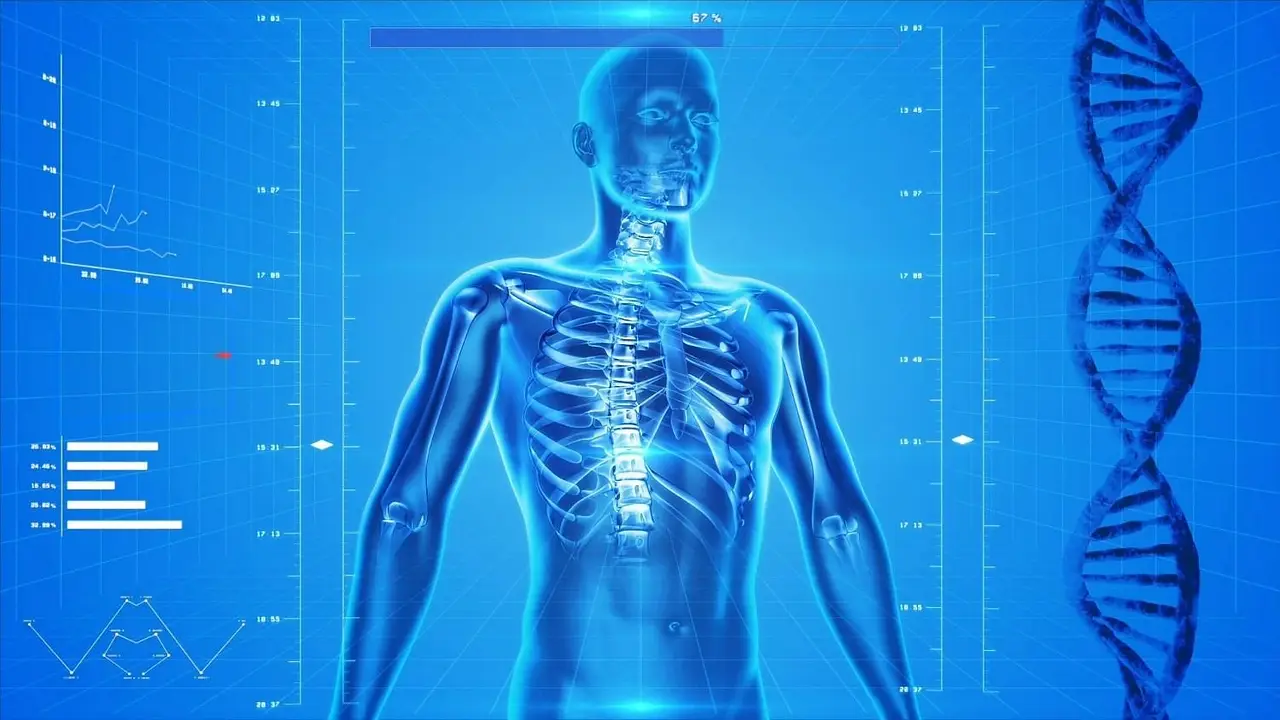 Crearon un nuevo atlas del cuerpo humano que revela cómo se organiza el ADN: permite interpretar mejor los genes