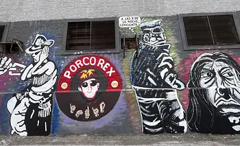 El mural más grande: el paraíso sureño que inmortalizó al Indio | Indio solari