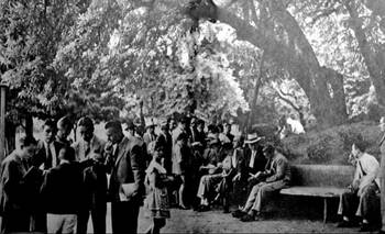 "Nos encontramos debajo del árbol": la tradición de CABA | Curiosidades