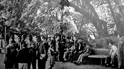 "Nos encontramos debajo del árbol": la tradición de CABA que nació hace más de 80 años gracias a su sombra "Nos encontramos debajo del árbol": la tradición de CABA que nació hace más de 80 años gracias a su sombra