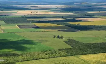 Punto por punto: qué dice la ley de Tierras que Milei quiere cambiar  | Ley de tierras
