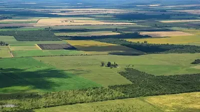 Ley de Tierras. Ley de Tierras.