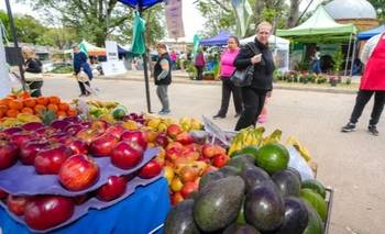 Sin asistencia y golpeados por la crisis, productores correntinos alertan por el futuro | Corrientes